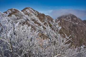 山, 風景, 樹氷,霧氷,空, 岩, 自然, 山, 雪, 頂点, 旅行, 冬, 木, サマータイム, 雲, 景色, 雲, 公園, 森, 高い, 草, 白雲石, 範囲, 青