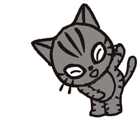 cat smile