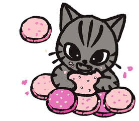 Cat eating