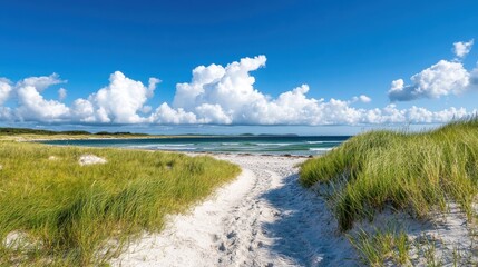 This serene image features a pristine sandy beach with a pathway leading through lush green grass dunes, ending at the tranquil ocean horizon under a bright blue sky.