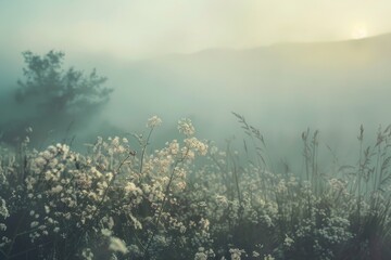 A foggy field with white flowers in the foreground, depicting a misty atmosphere, Soft edges and blurred boundaries giving a hazy, atmospheric feel