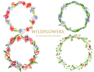 Set Wreathes. Field Bright Flowers and Herbs. Watercolor Sketch Illustration. Floral Design. For Postcards, Invitations, Textiles, Flyers, Business Cards