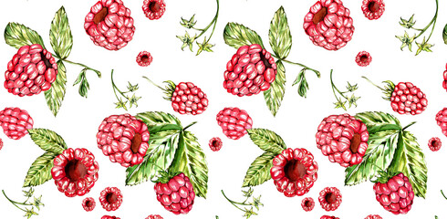 Seamless Pattern. Bright Raspberry. White Background. Watercolor Illustration. For Packaging, Home Kitchen Textiles, Clothes, Stationery