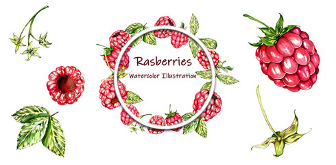 Set Elements. Bright Raspberry, Leaves, Wreath. White Background. Watercolor Illustration. For Packaging, Home Kitchen Textiles, Clothes, Stationery