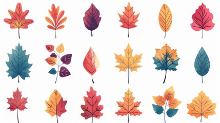 A collection of various fallen leaves in vibrant autumn colors, featuring maple leaves. Ideal for fall-themed decorations, seasonal holiday designs, or Thanksgiving greeting cards