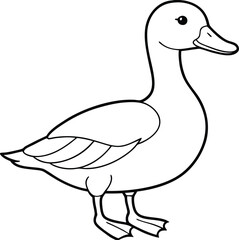 Cute Duck Design