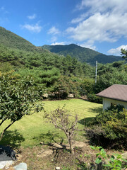 landscape of the mountains