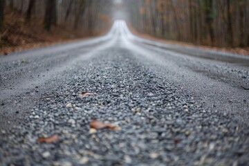 A deserted road passing through a dense forest, scattered with speckled gravel, Speckled gravel scattered across the road