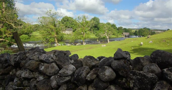 wide shot looking over a dry stone wall with the river Wharfe in background in the Yorkshire Dales