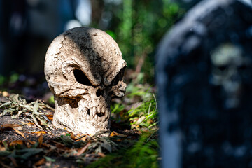 Halloween skull decorations. Halloween skull skeleton for decorated house. Scary skull Decorated at front yard of a American home. Trick or treat. Halloween skull background. Holiday of Halloween.