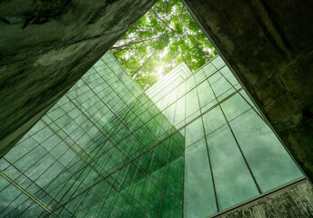 Eco-friendly building in modern city. Sustainable glass office structure with integrated greenery...