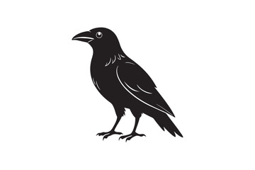 Crow silhouette vector illustration