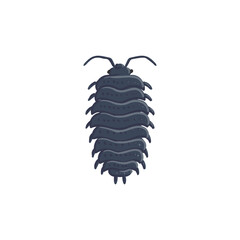 vector drawing terrestrial isopod, Woodlice , sow bug isolated at white background, garden pest, hand drawn illustration