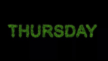 Beautiful illustration of Thursday text with green grass effect on plain black background