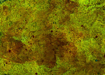 Abstract texture background of different shades of green, yellow. Black and brown dots, spots. Cold and warm shades of green. Chaotic spots and blurs. Darker in places, lighter in places. Wavy shapes.