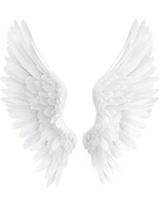 Obraz premium white angel wings isolated on white background.white wings. 
