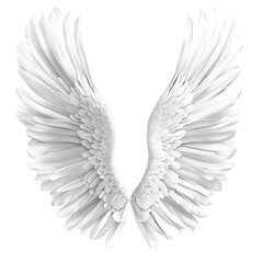 Fototapeta premium white angel wings isolated on white background.white wings. 