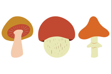 Fototapeta premium Mushrooms Clipart, Set of Mushrooms, Mushroom illustrations, Vector 