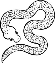 Fototapeta premium 年賀素材_手描きの筆タッチの蛇のイラスト