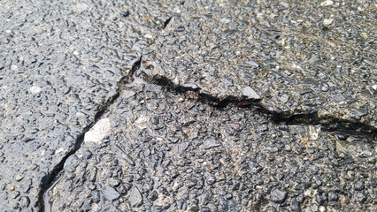 コンクリートの地割れ／cracks in concrete／콘크리트의 땅 균열