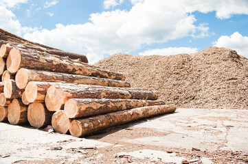 round logs close-up in the background there is a mountain of wood chips and a blue sky with clouds