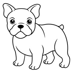 Obraz premium baby buldog