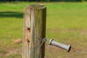 Zaunpfahl aus Holz, Holzzaun, Elektrozaun, Weidenzaun, Stacheldraht, Deutschland