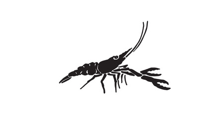 Graphical silhouette of shrimp isolated on white background,vector illustration. Seafood