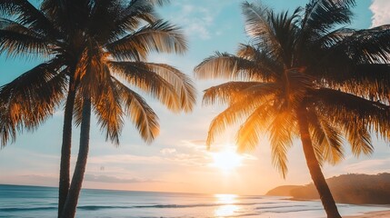 Fototapeta premium Breathtaking tropical sunset over a palm lined beach with tranquil ocean view