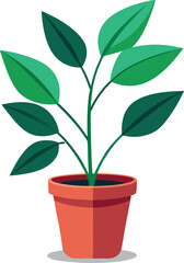 Plant in pot with green leaves Illustration