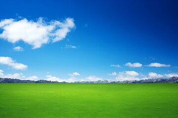 Fototapeta premium Serene Green Field with Blue Sky and Mountains