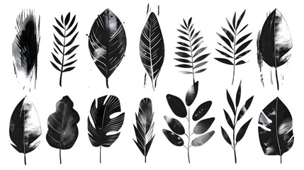 Hand drawn set of grunge modern textured brush black leaves  isolated on transparent background