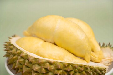 a durian, a tropical fruit with a spiky, hard outer shell. The shell has been opened to reveal the yellow, fleshy fruit inside.  on the table.