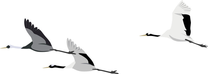 crane