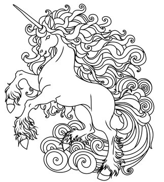 Set Line Art Unicorn Clipart design children products coloring book page realistic flat illustration fairy-tale horse drawing thick contour thin outline animal isolated on white antistress for adults