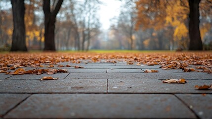 Fototapeta premium An empty floor in a city park : Generative AI