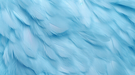 Obraz premium Blur Bird chickens feather texture for background Abstract, soft color of art design.