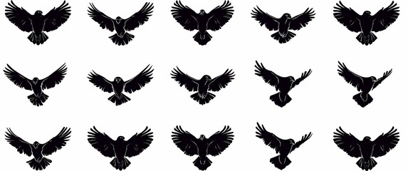 Fototapeta premium Set of stylized black bird silhouettes in flight, showcasing graceful wing positions.