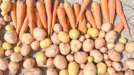 Carrots and potatoes close up top view A pile of vegetables including carrots, potatoes, and beets. The carrots are the most prominent, with a few of them being cut in half