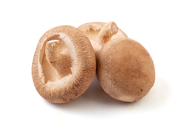 Fresh shiitake mushrooms on a white background