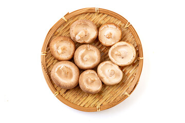 Fresh shiitake mushrooms on a white background