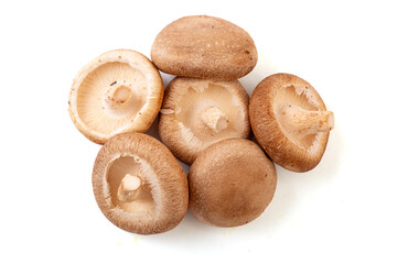 Fresh shiitake mushrooms on a white background