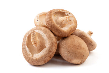 Fresh shiitake mushrooms on a white background