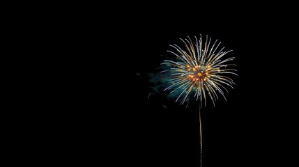 Fototapeta premium pyrotechnics and fireworks new year background