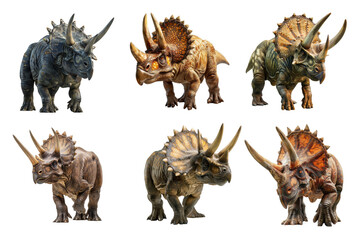 Obraz premium Triceratops Collection Bundle Set Isolated on a Transparent Background