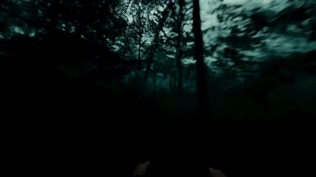 Escaping Through Dark Forest