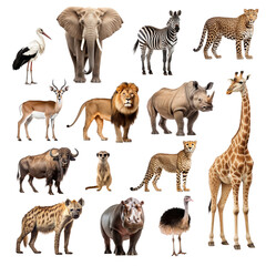 PNG African animal element set, transparent background