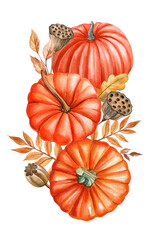 Pumpkin, flowers, leaves isolated white background, watercolor botanical illustration hand drawing autumn poster, card