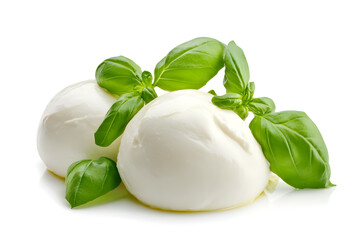Fresh piece burrata cheese with basil close up isolated on white background