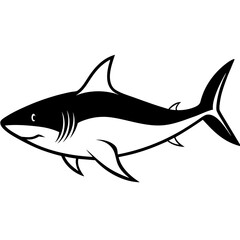 Obraz premium Shark Silhouette image art for vector illustration on white background